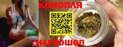 стаф Ставрополь