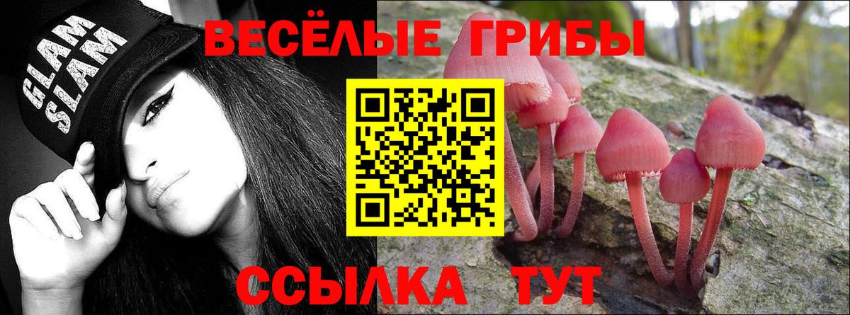 Галлюциногенные грибы мицелий  Вход с VPN  Ногинск 